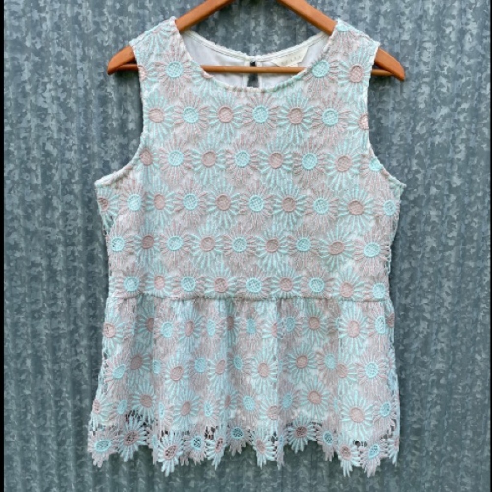 Adiva Sleeveless Daisy Embroidered Peplum Top - Mint & Blush